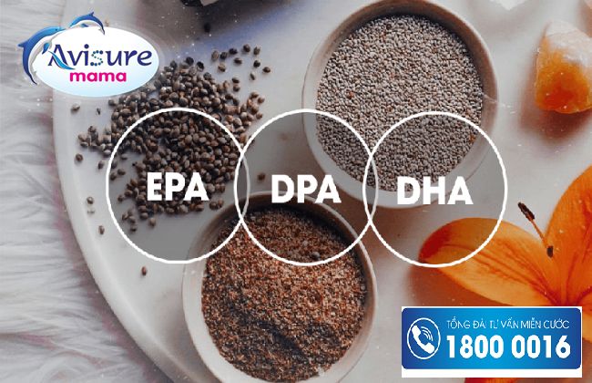 Hạt Chia nhóm thực phẩm giàu Omega 3