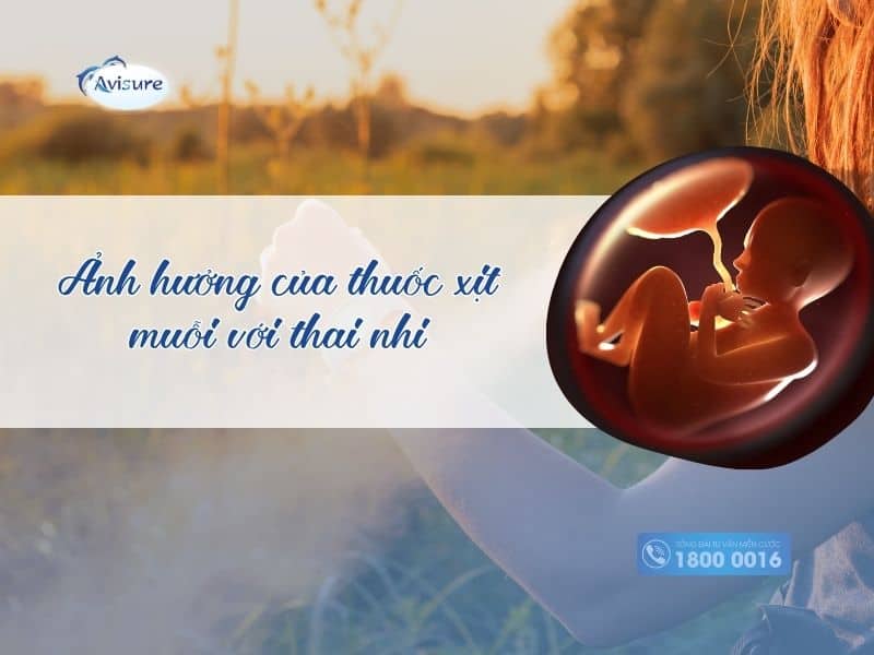 Ảnh hưởng của thuốc xịt muỗi tới thai nhi