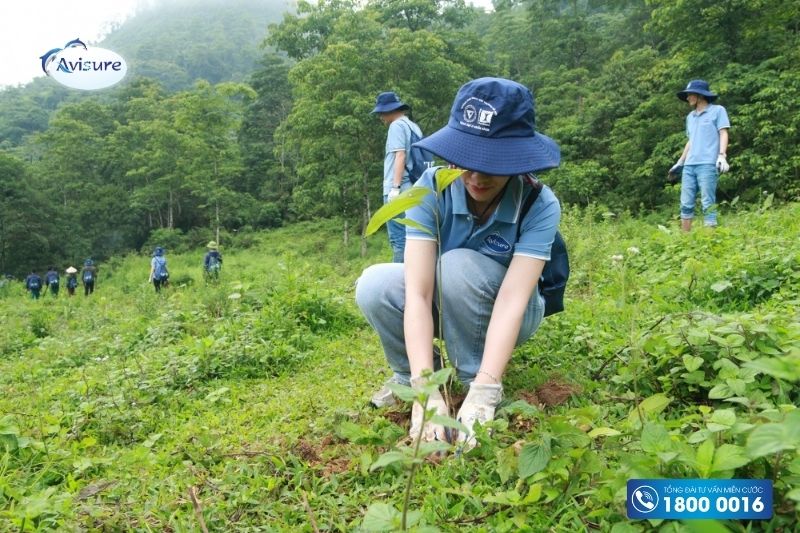 avisure chung tay góp xanh vì tương lai an lành