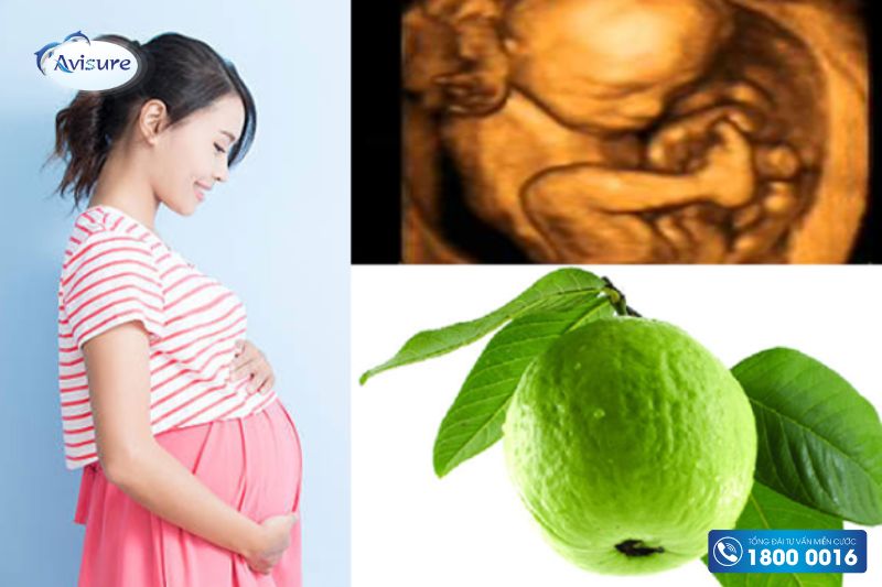 bà bầu nên ăn quả gì quả ổi