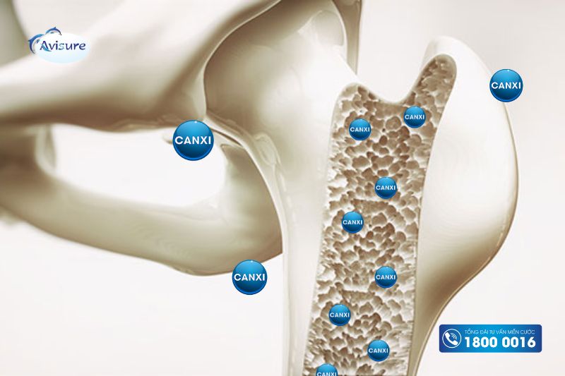 bà bầu nên uống canxi nước hay viên tốt nhất