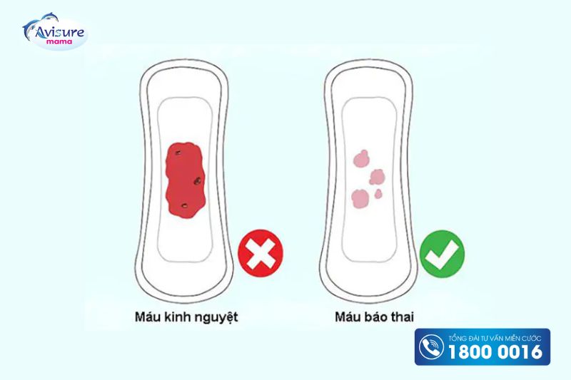 Cách nhận biết máu báo thai