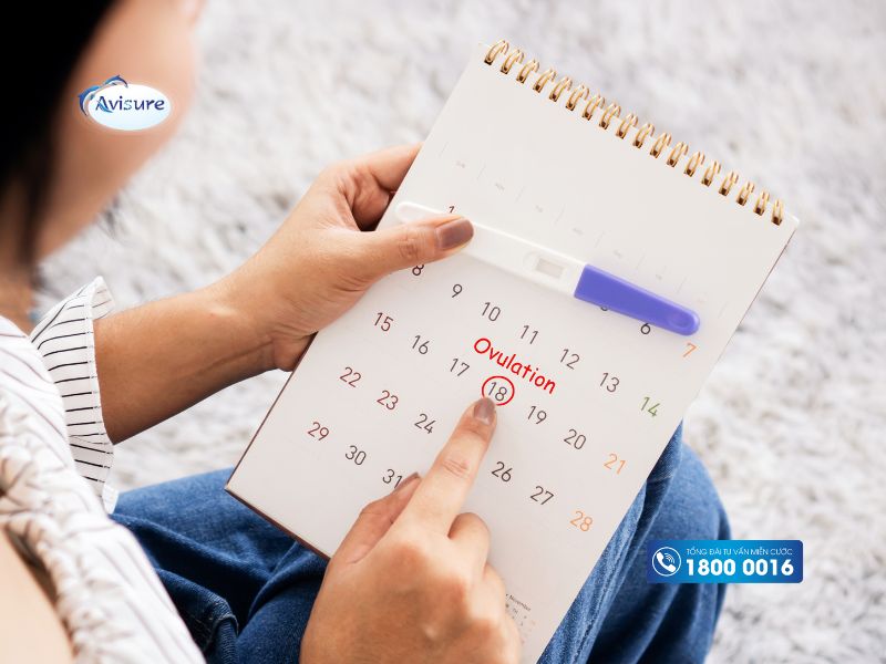 Cách tính ngày rụng trứng để sinh con trai