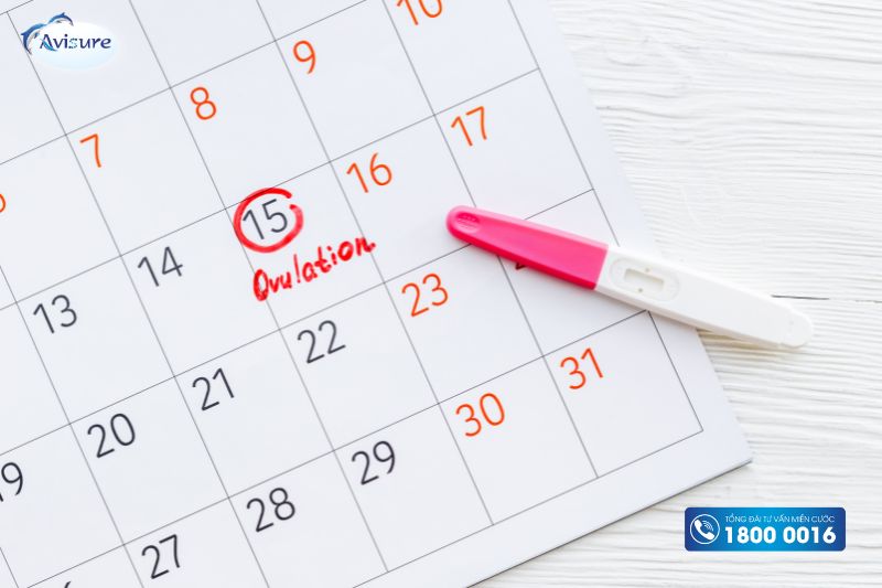 Cách tính tháng thụ thai để sinh con trai theo ngày rụng trứng