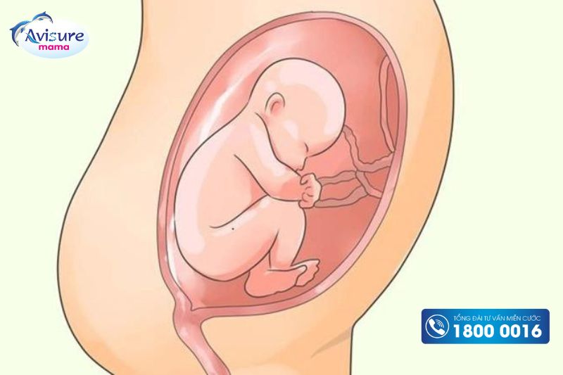 Thai nhi ít cử động là dấu hiệu thiểu ối 3 tháng giữa