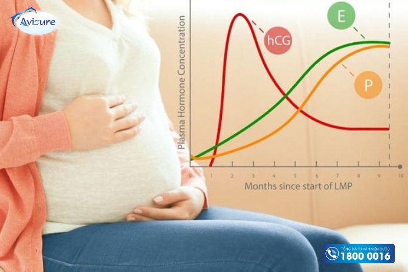 đau lưng khi mang thai do nội tiết tố thay đổi