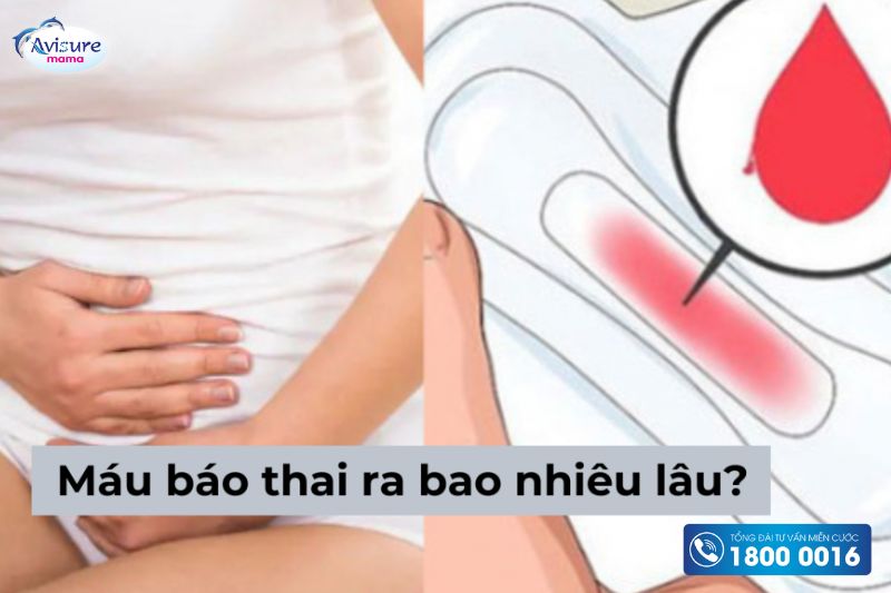 Máu báo thai thường ra trong một vài ngày