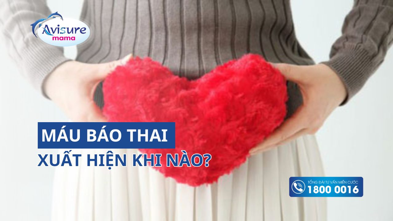 M u b o thai xu t hi n khi n o c n l m g khi th y m u b o 