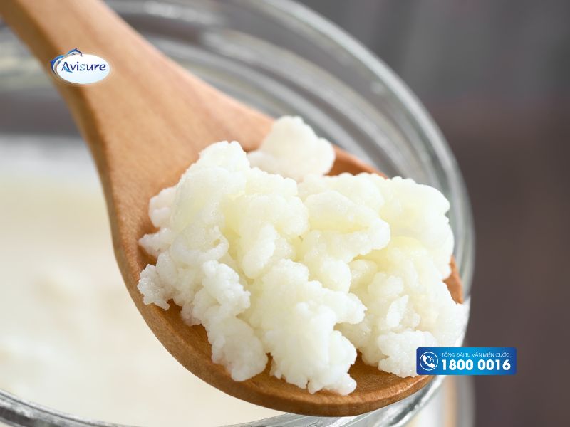 Nấm sữa Kefir - Thực phẩm chứa Lactobacillus phổ biến