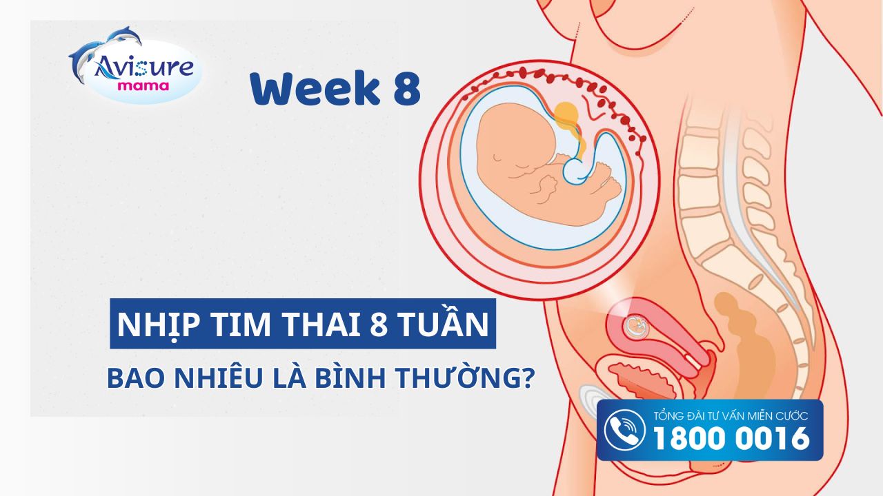 Nhịp tim thai 8 tuần bao nhiêu là bình thường? Mẹ đã biết chưa?
