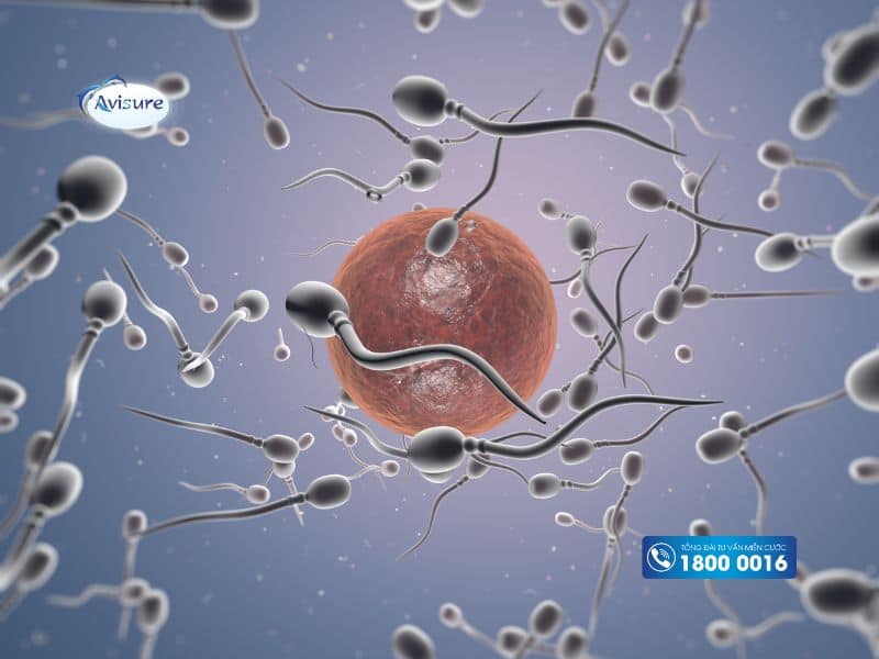 Những cách để tăng tỷ lệ thụ thai khi tử cung ngả sau