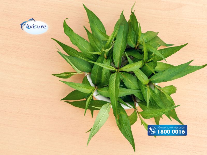 Rau răm - Những loại rau bà bầu không nên ăn