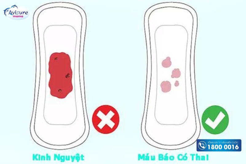 Chị em cần phân biệt rõ máu báo thai và máu hành kinh