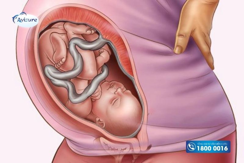 thai 36 tuần là mấy tháng