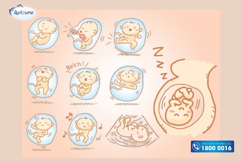 thai nhi 19 tuần phát triển như thế nào thai máy