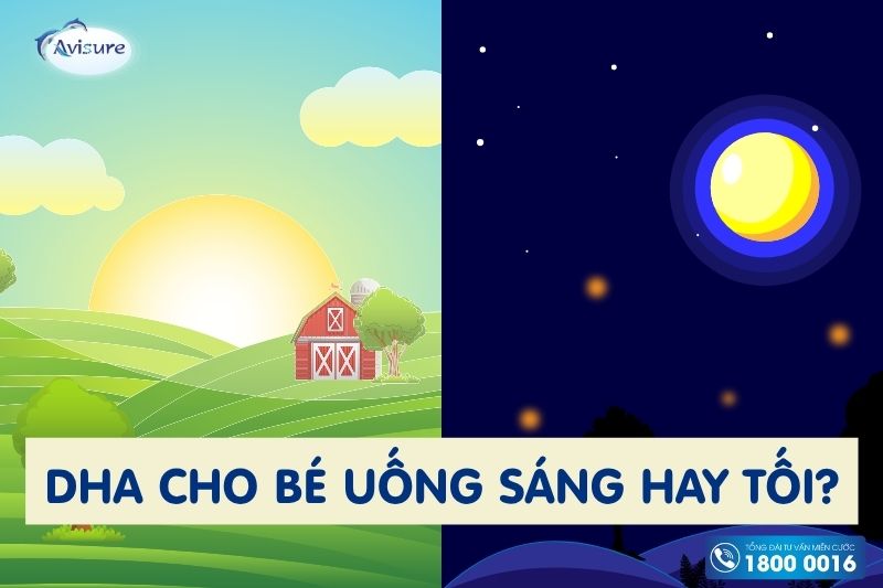 uống dha vào thời gian nào trong ngày cho bé sáng hay tối