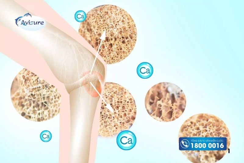 ưu điểm của canxi nano