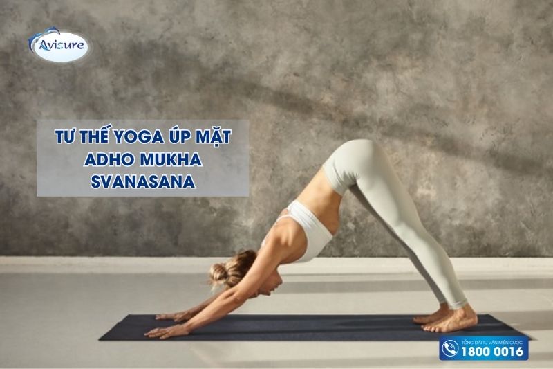 yoga cho bà bầu tư thế úp mặt adho mukha svanasana